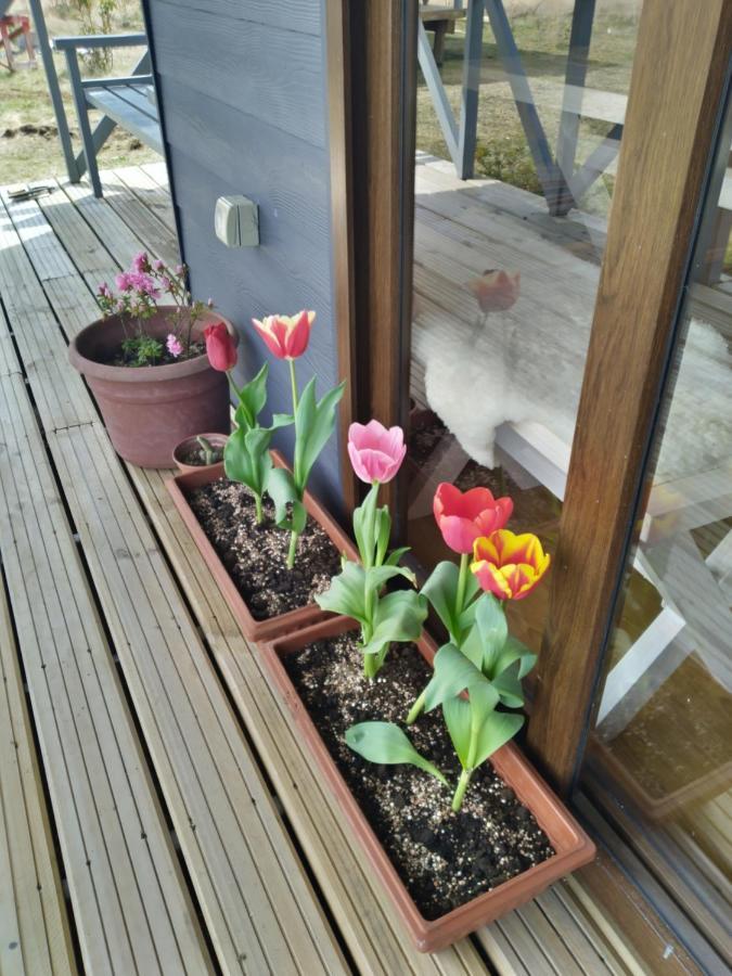 Cabanas Parque Chaqueihua 오르노피렌 외부 사진