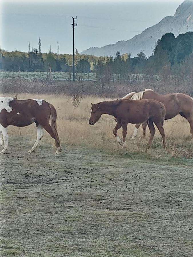 Cabanas Parque Chaqueihua 오르노피렌 외부 사진